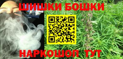 сатива Новодвинск