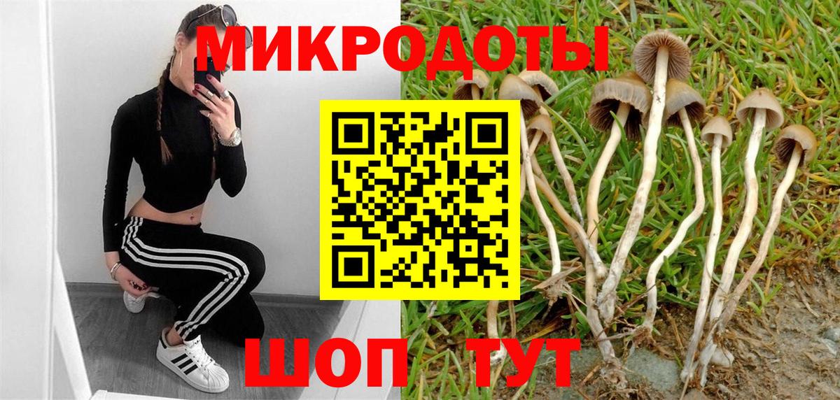 Псилоцибиновые грибы GOLDEN TEACHER Сосновый Бор