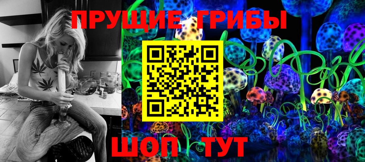 Галлюциногенные грибы Magic Shrooms  Галлюциногенные грибы ЛСД  Сосновый Бор  Вход с VPN 